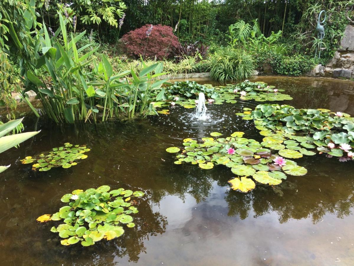 Quinta Das Pedras Belas Экстерьер фото